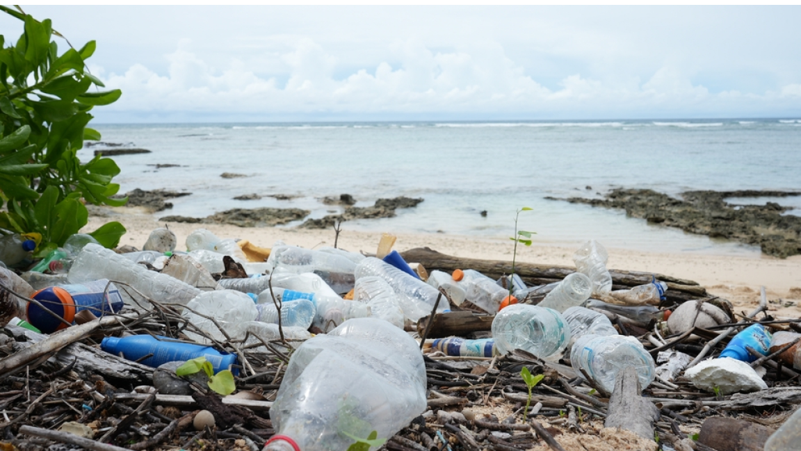 The Blue Economy: Looking at Pollution in Oceans and Seas and Its Impact on Human Health